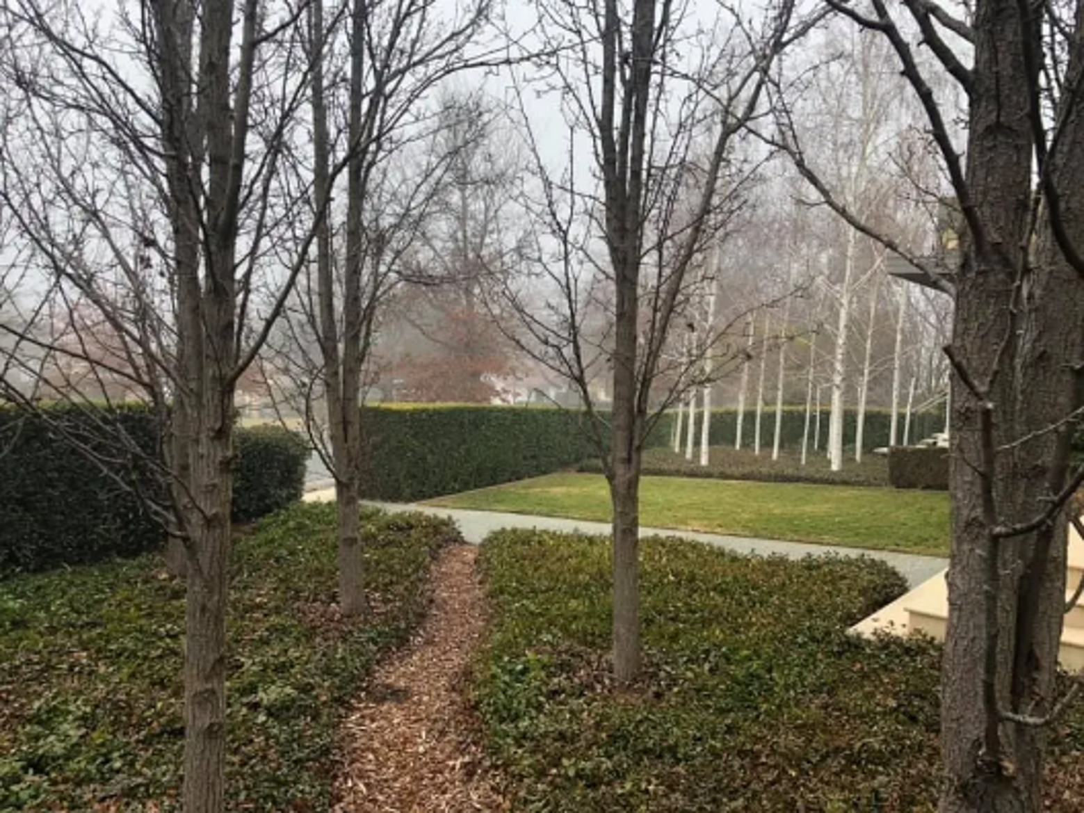 Manicured garden with trimmed hedges, mulched path, and bare trees showcasing lawn mowing services.