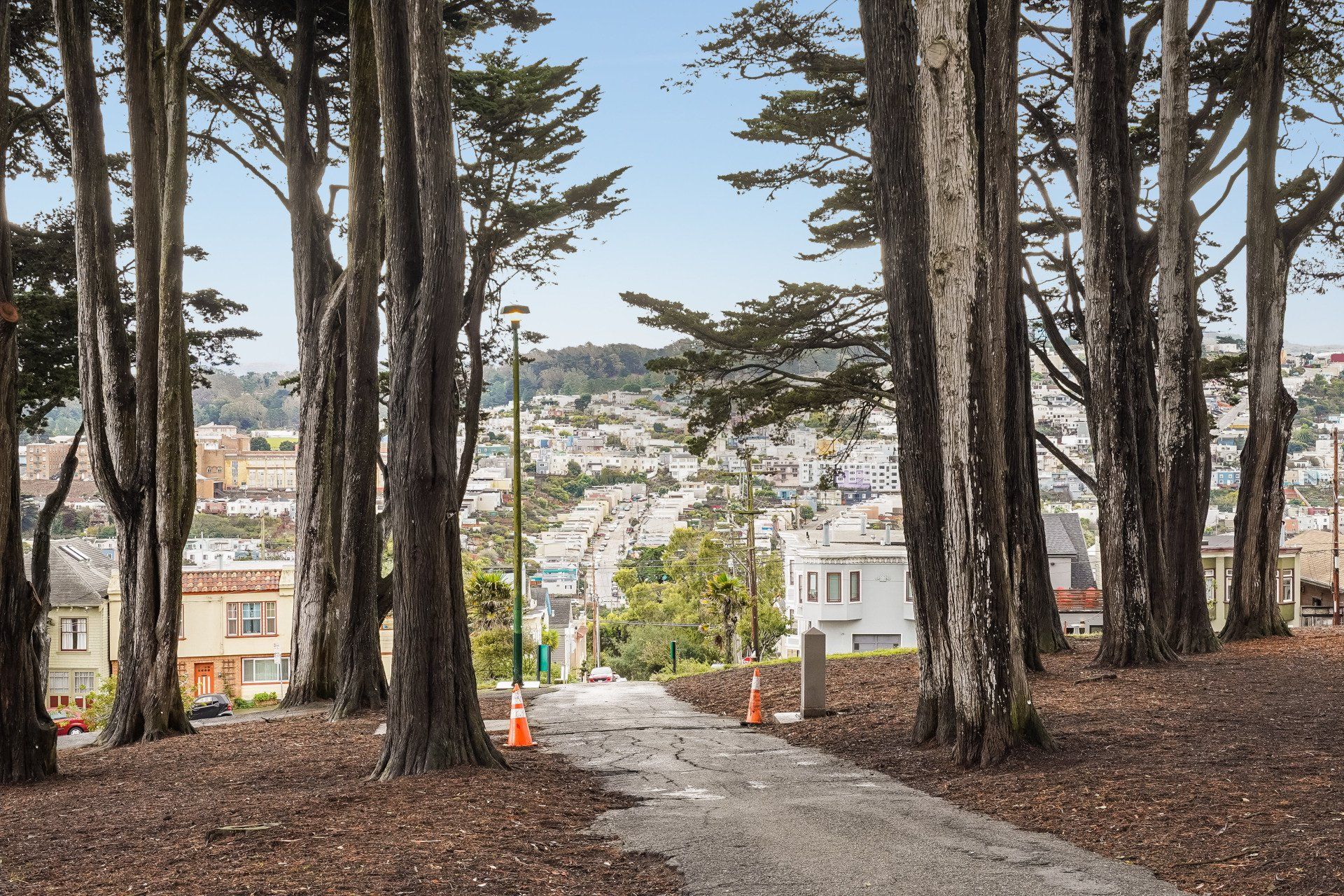 A tree-lined path leads downhill with views of a residential San Francisco neighborhood and blue sky.