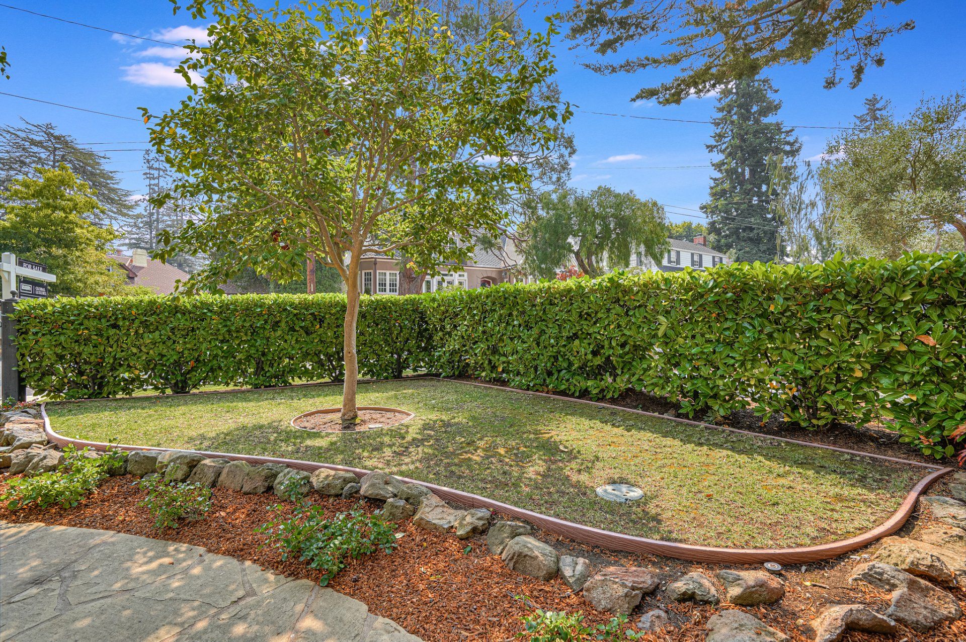 There is a tree in the middle of the yard.