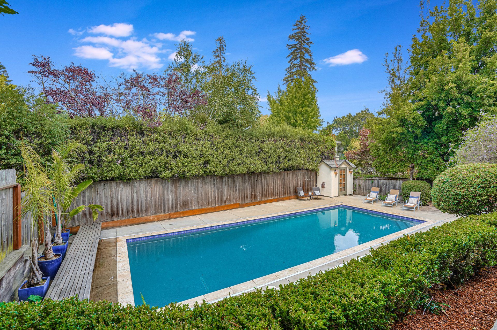 A large swimming pool surrounded by trees and bushes in a backyard.