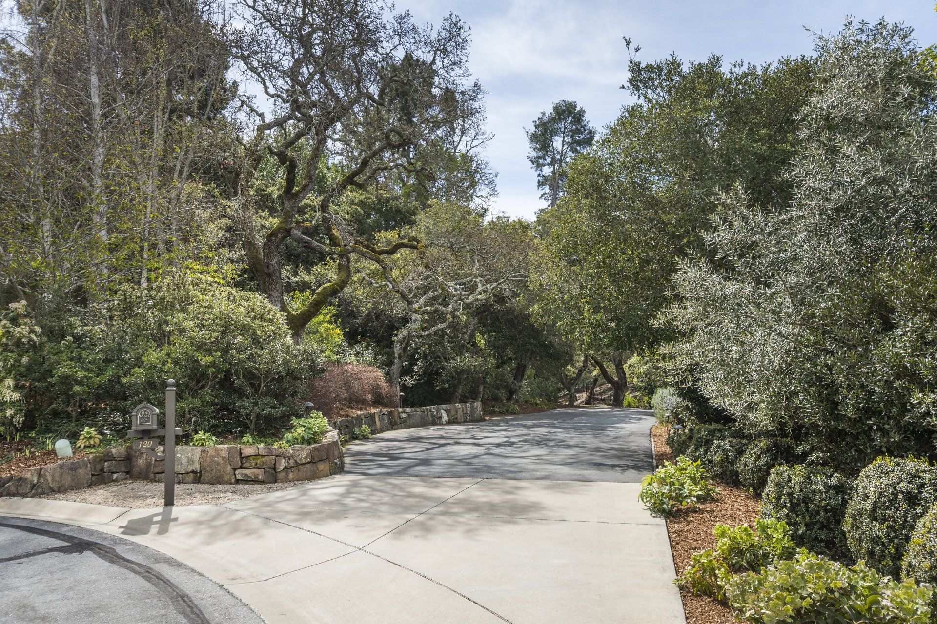 A driveway leading to a house surrounded by trees and bushes.