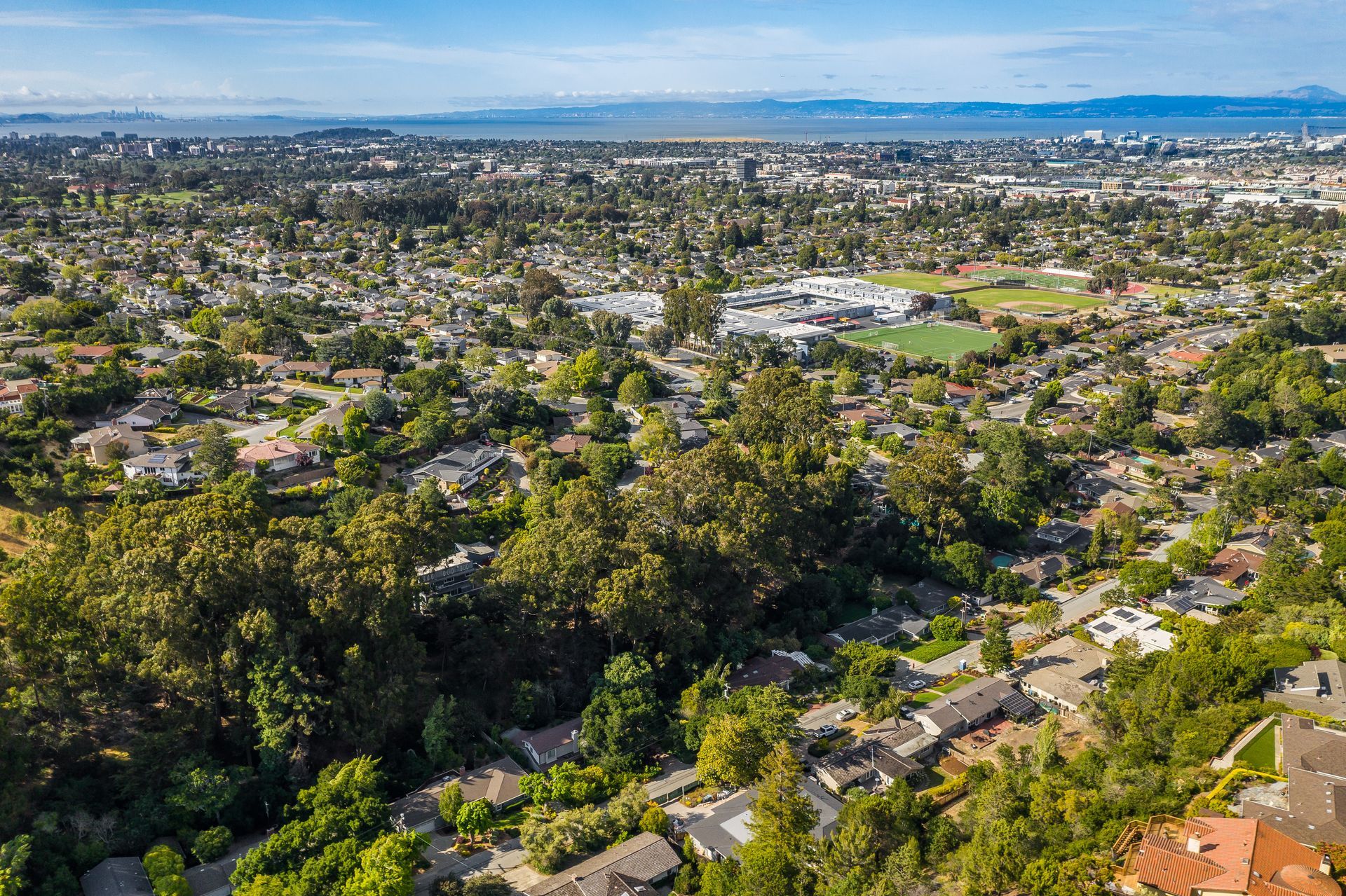 An aerial view of a residential area surrounded by trees and houses.