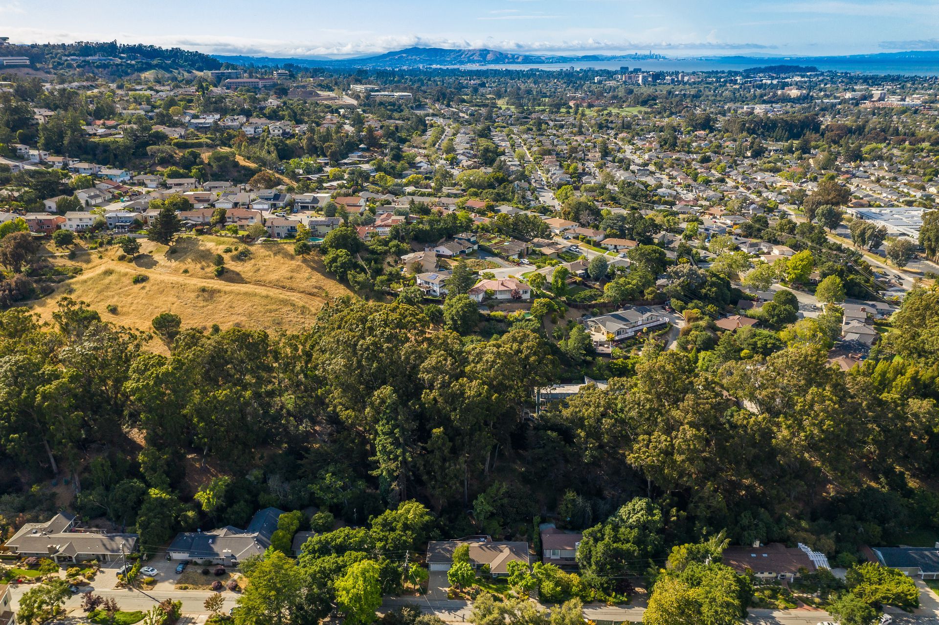 An aerial view of a residential area surrounded by trees and houses.