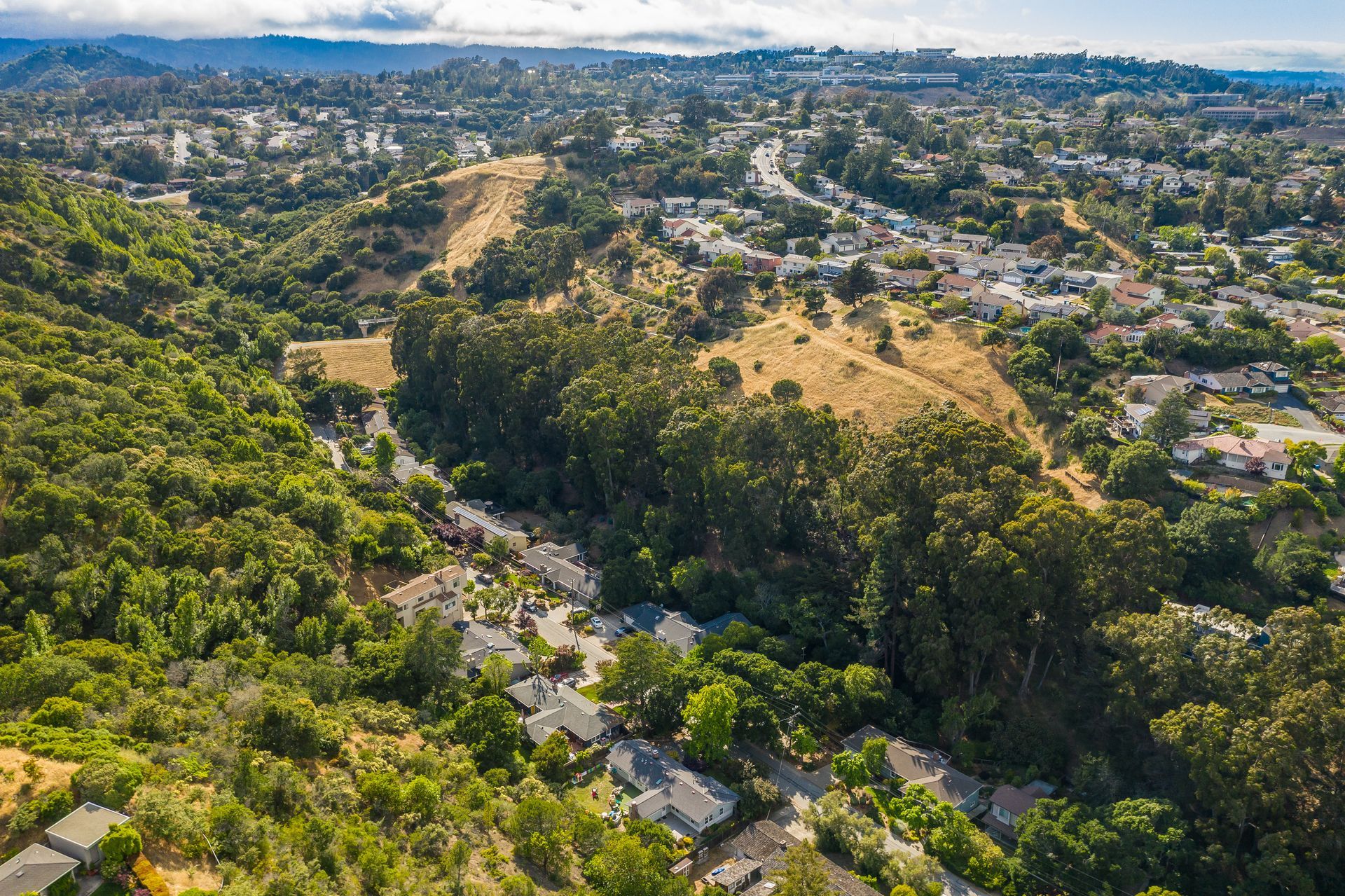 An aerial view of a residential area surrounded by trees and houses.