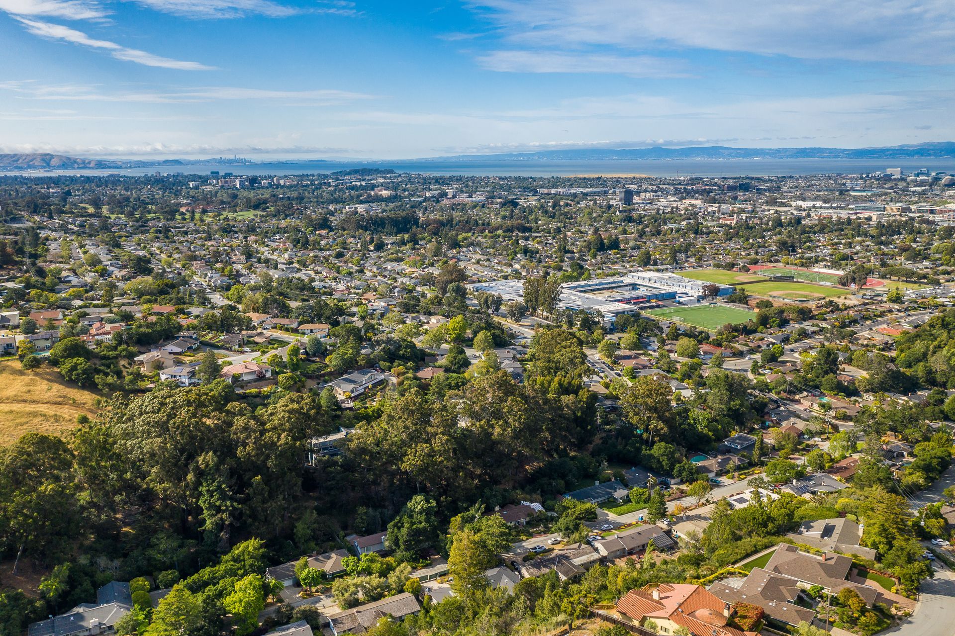 An aerial view of a residential area surrounded by trees and houses.