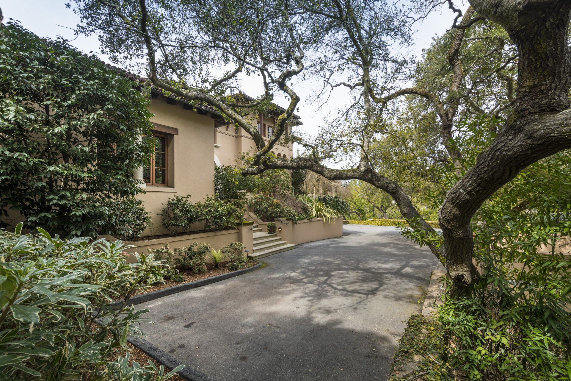 A driveway leading to a house surrounded by trees and bushes.