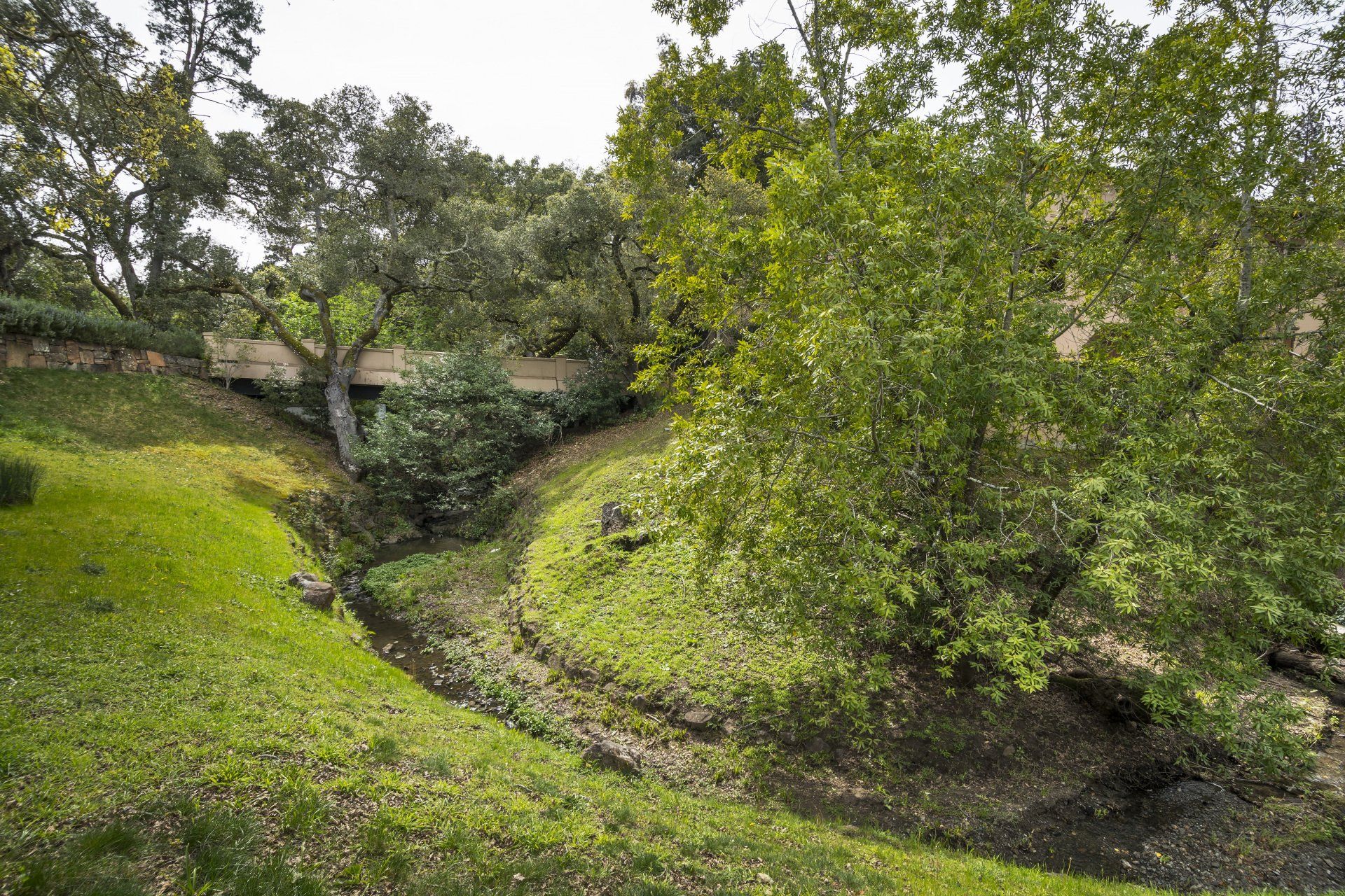 A stream running through a lush green yard surrounded by trees.