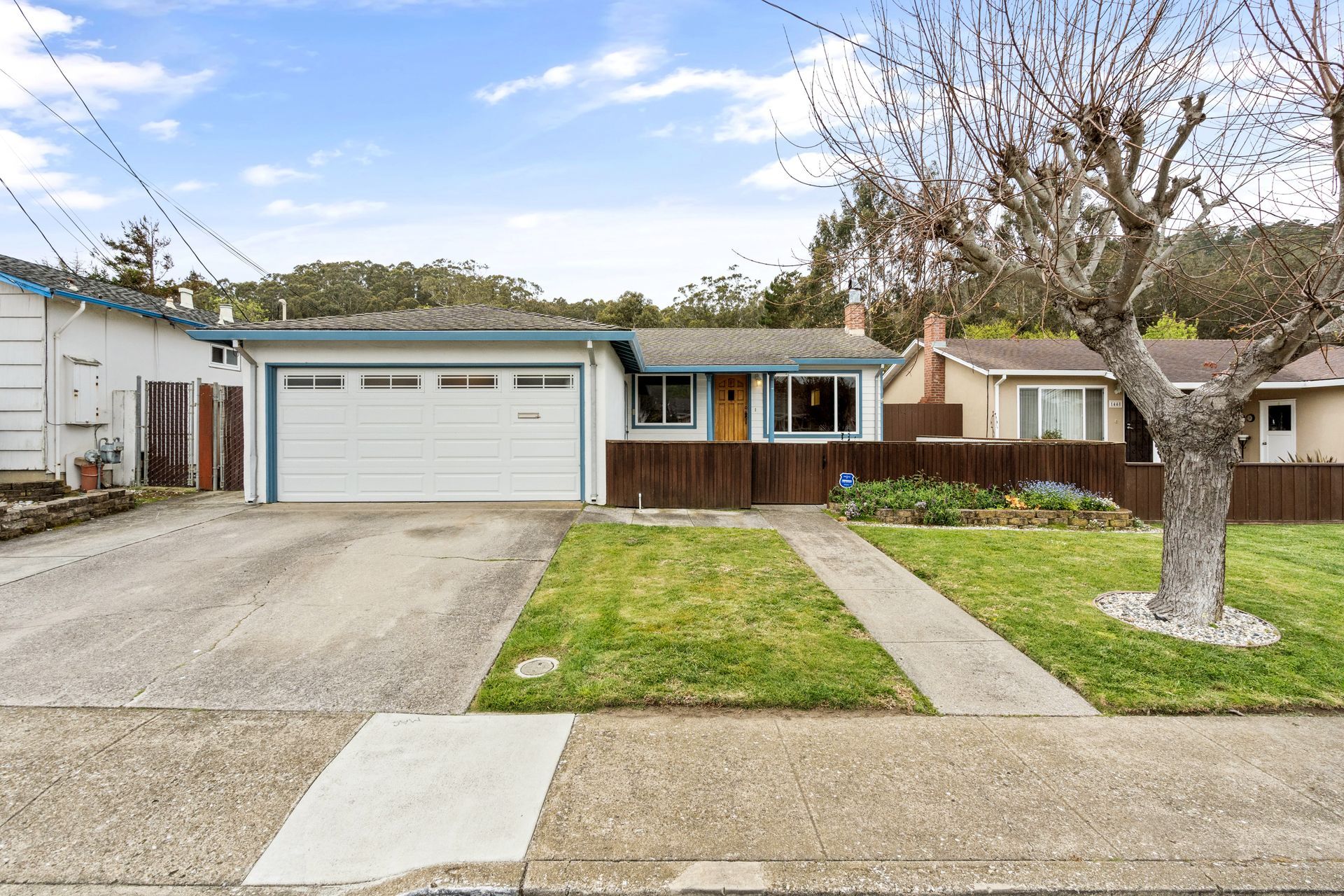 A house with a white garage door and a tree in front of it.