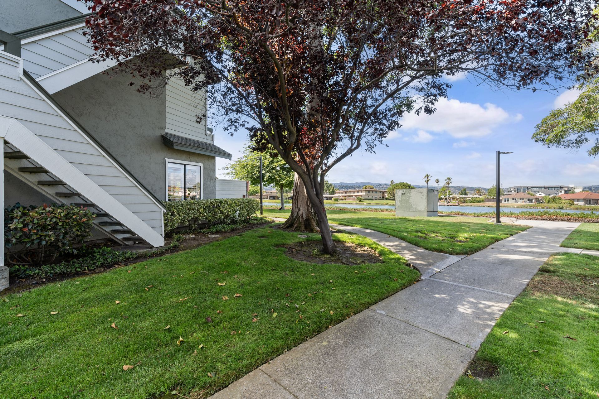 A walkway leading to a house with stairs and a tree in front of it.