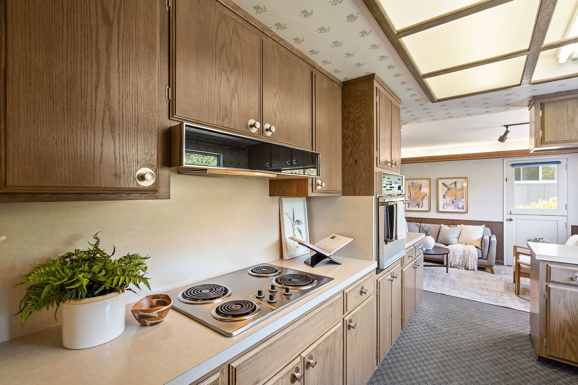 Kitchen with wood cabinets, a stovetop, and a fern on the counter. A living room with a couch is visible in the background.