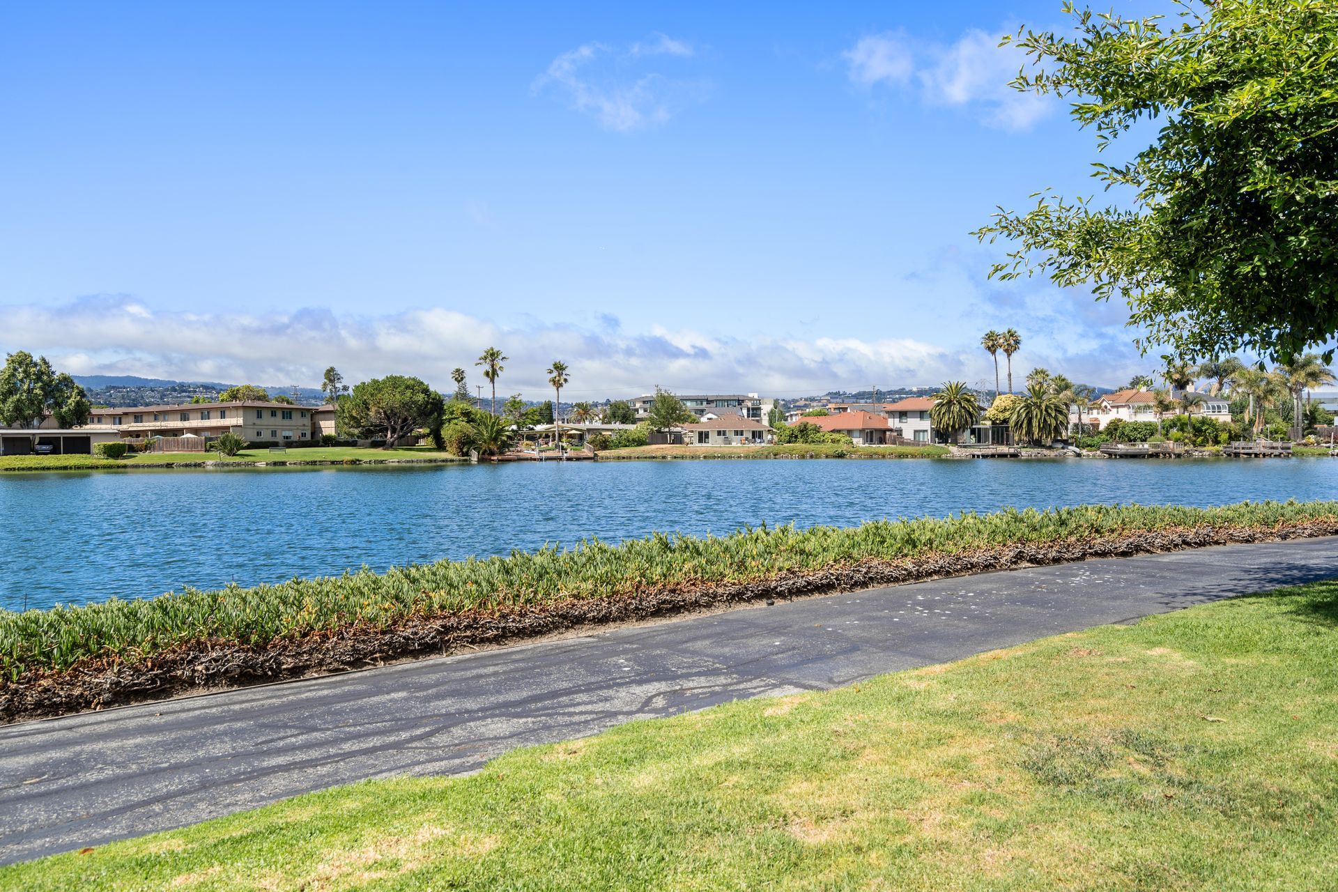 A large body of water is surrounded by trees and a road.