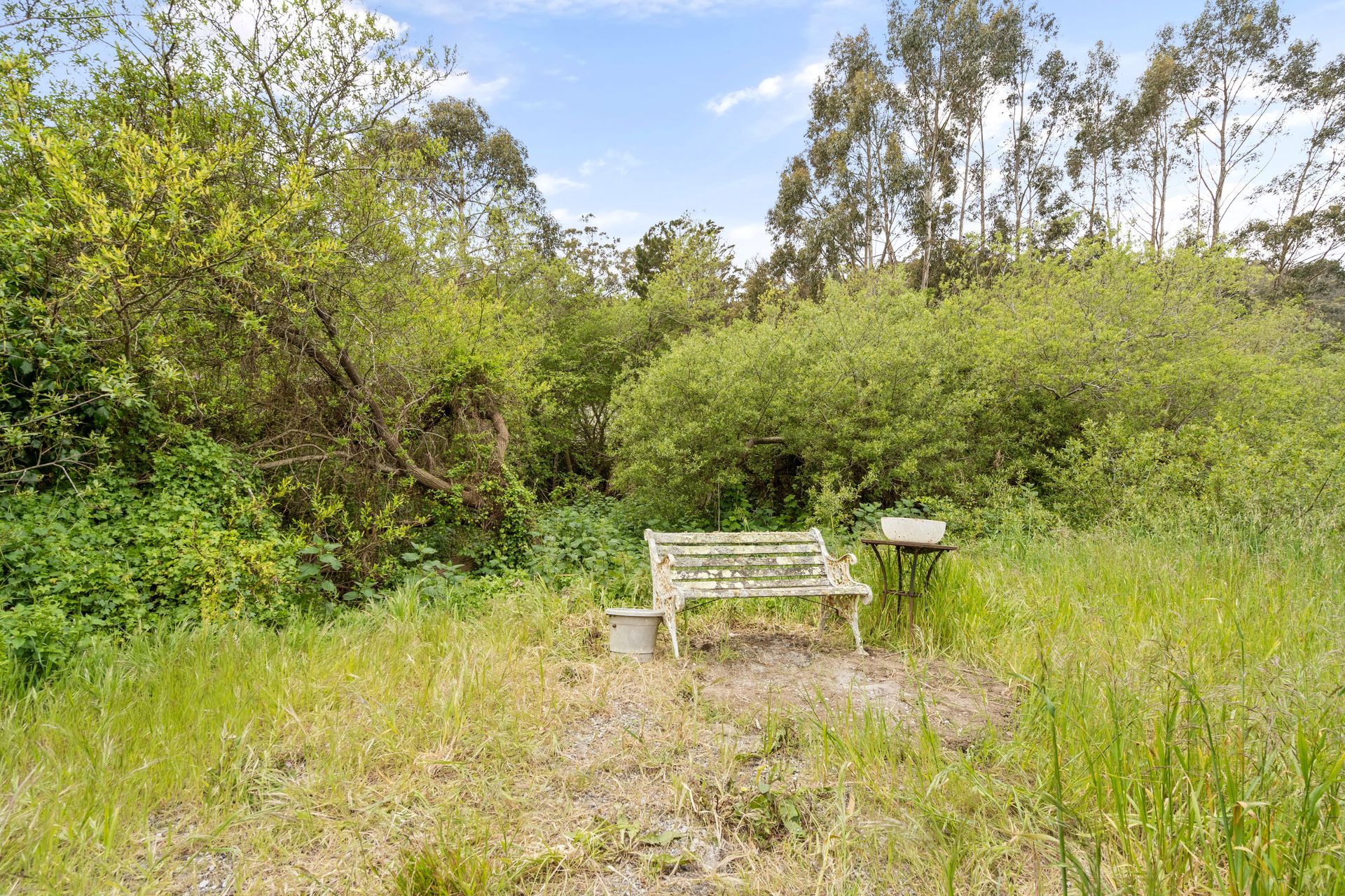There is a bench and a table in the middle of a backyard.