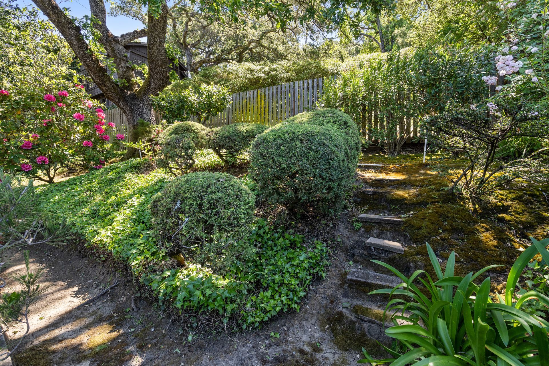 A lush garden with sculpted green bushes, stone steps, and trees in varying shades of green.