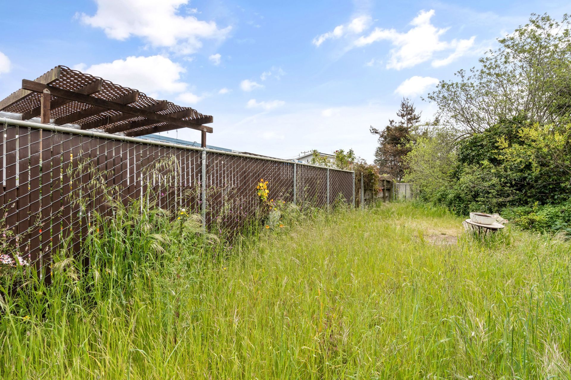 There is a fence in the background and a lot of grass in the foreground.