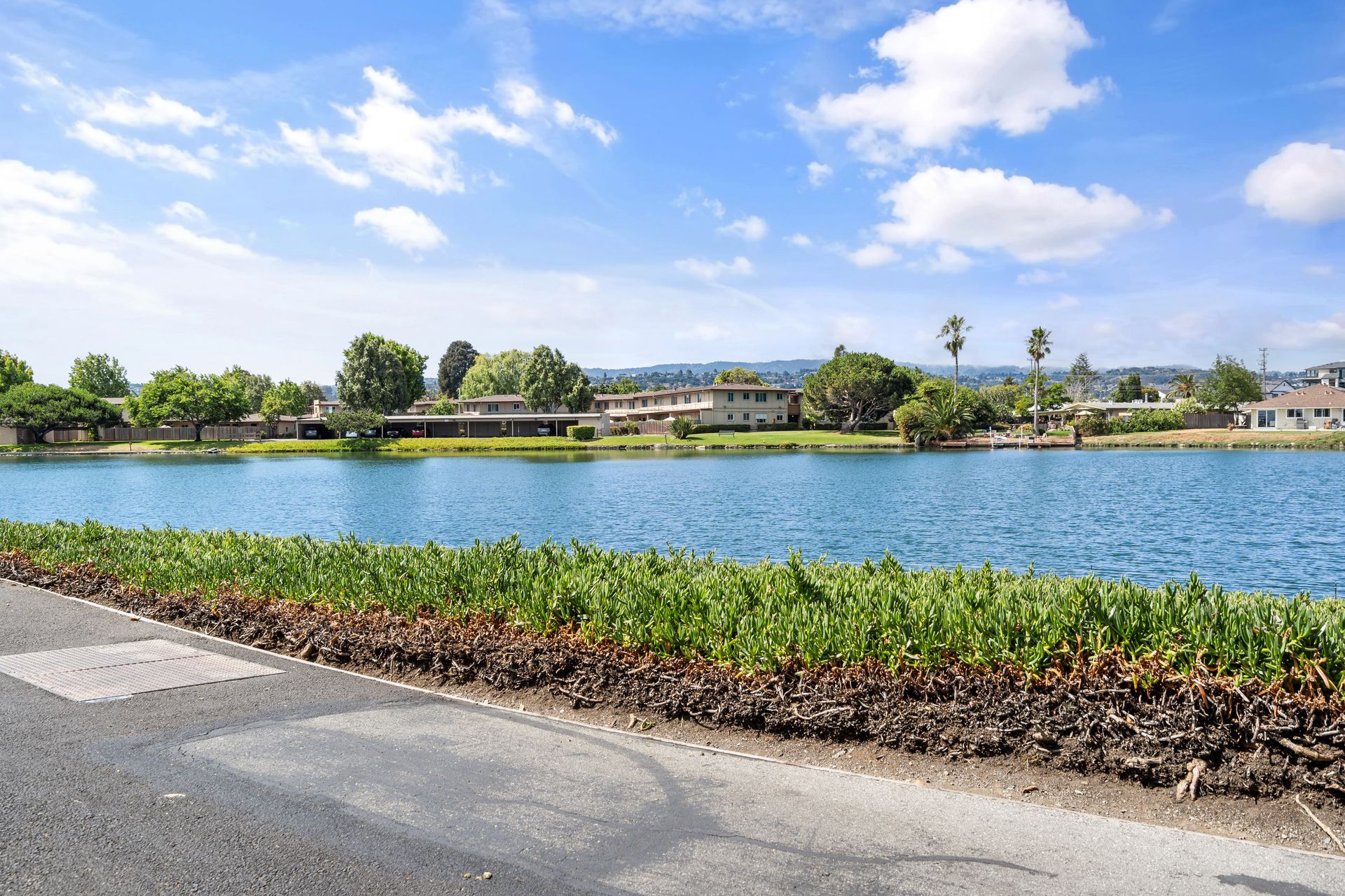 A large body of water is surrounded by trees and a road.