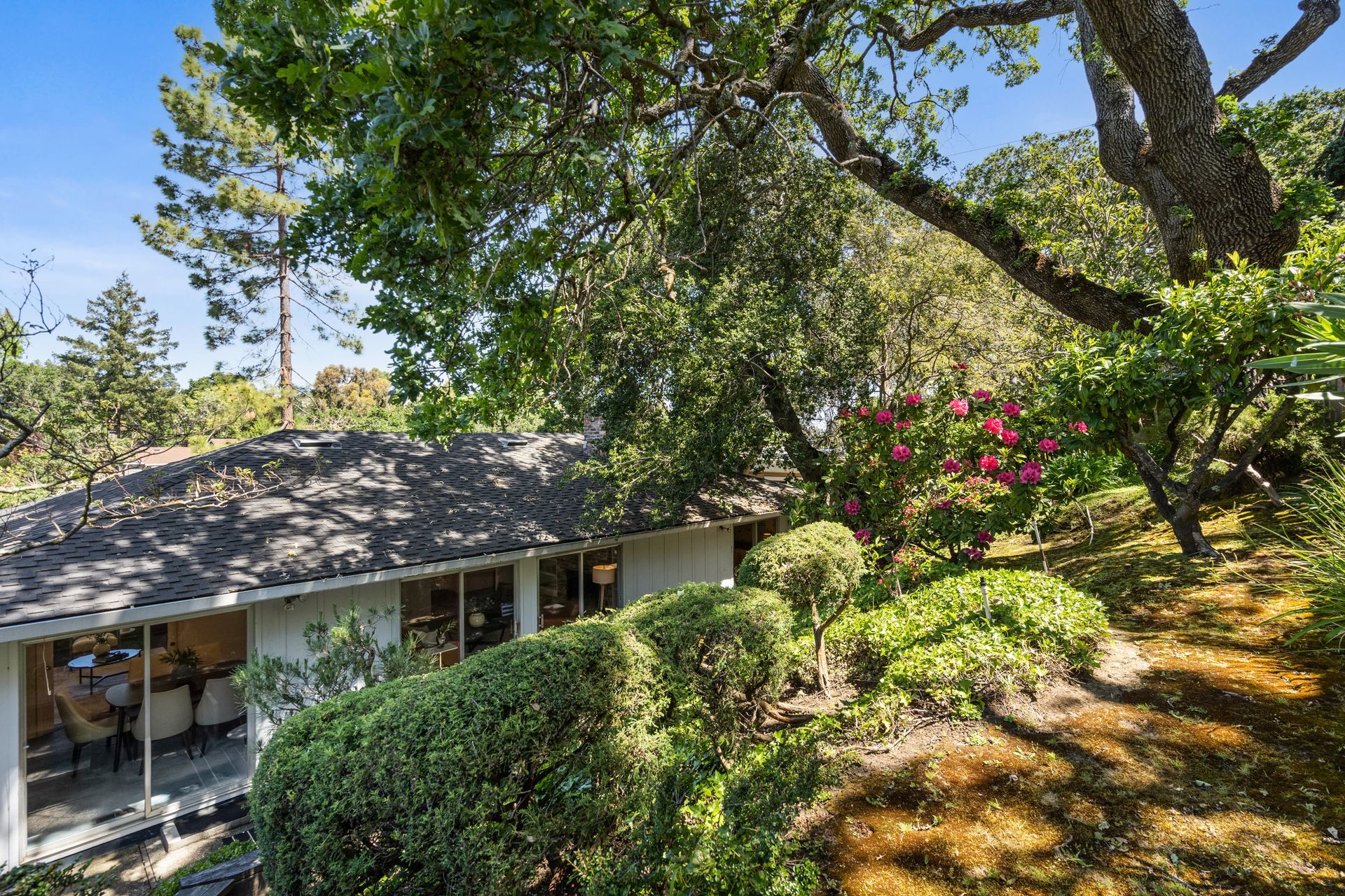 A house partially obscured by lush greenery under a blue sky; sunlit path and trimmed bushes in foreground.
