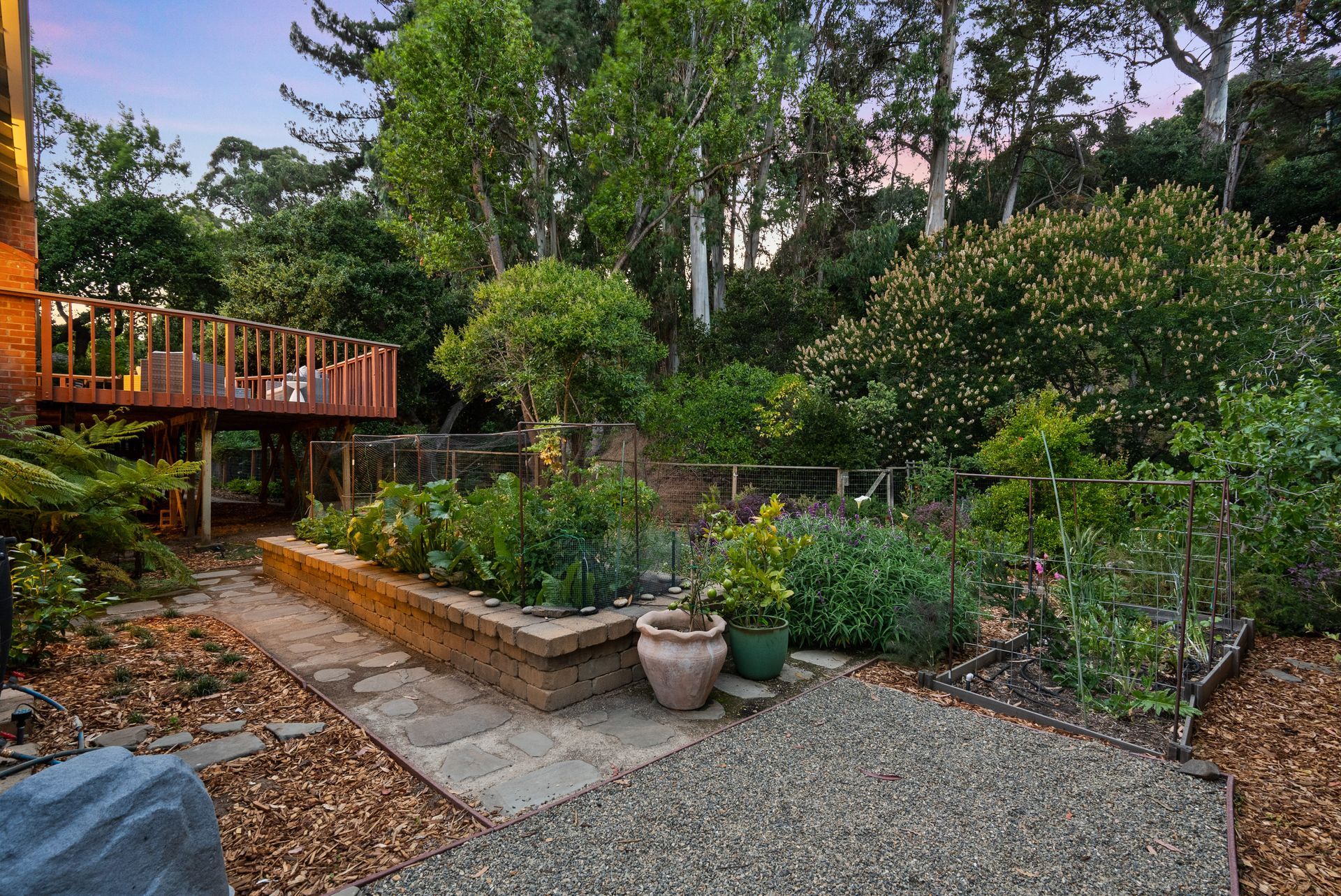 A lush green garden with a wooden deck in the background.