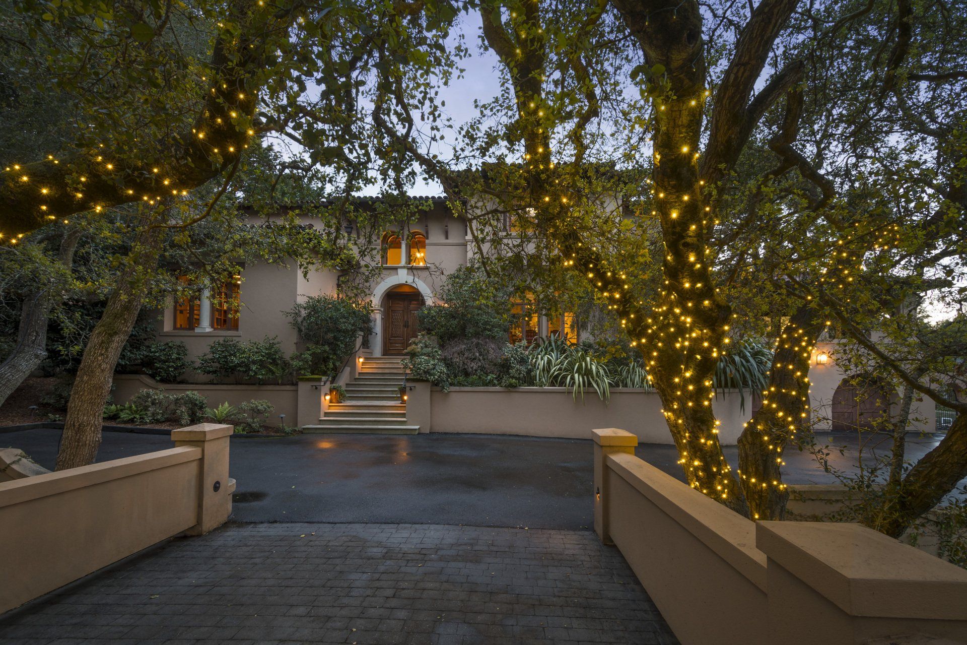 A house with lights on the trees in front of it