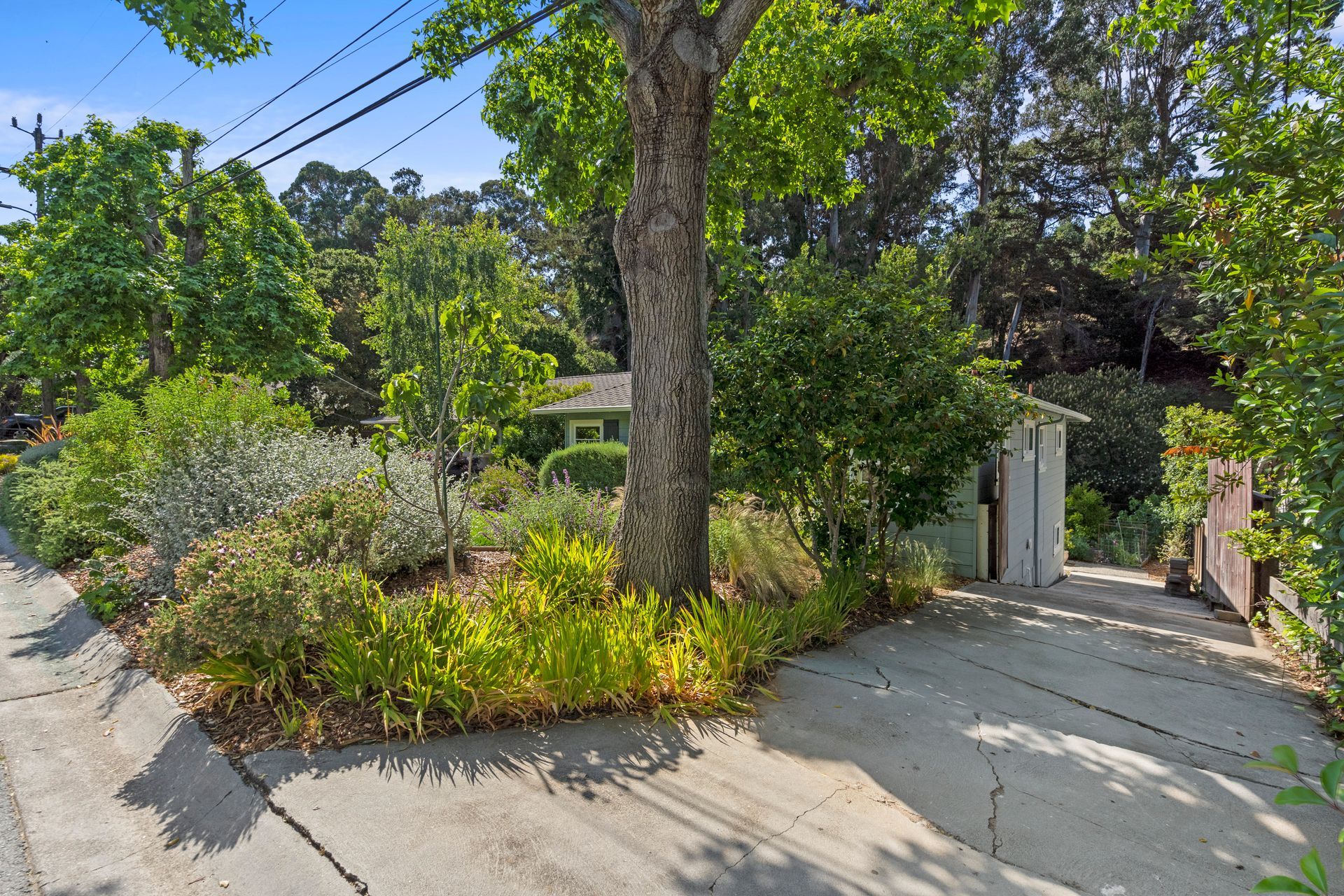 A driveway leading to a house surrounded by trees and bushes.