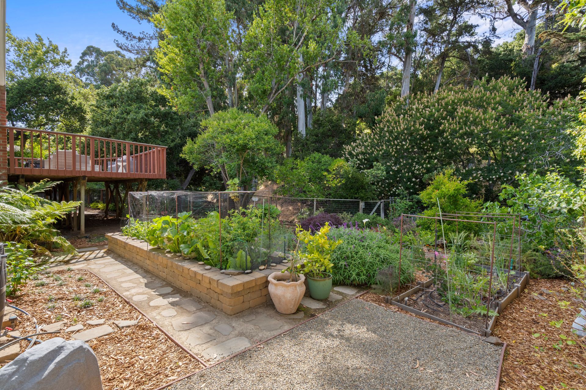 A lush green garden with a wooden deck in the background.