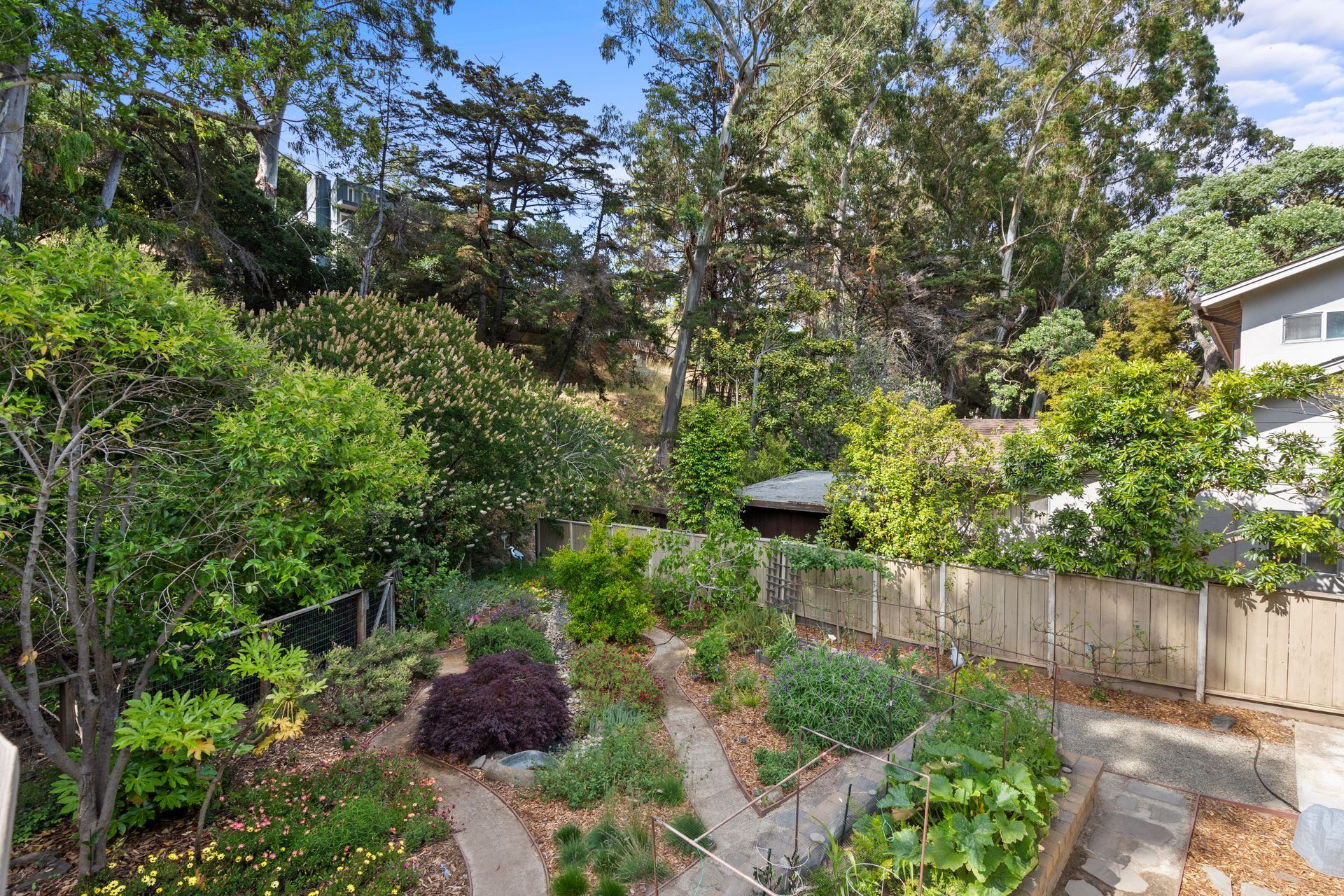A garden filled with lots of plants and trees next to a house.