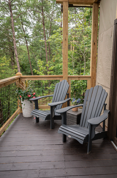 A cluster of tall palm trees against a pale, warm-toned sky.