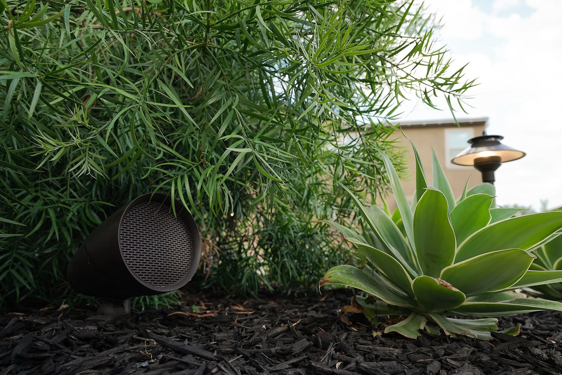 A dark, perforated landscape light is partially obscured by green plants and a succulent, in a garden setting.