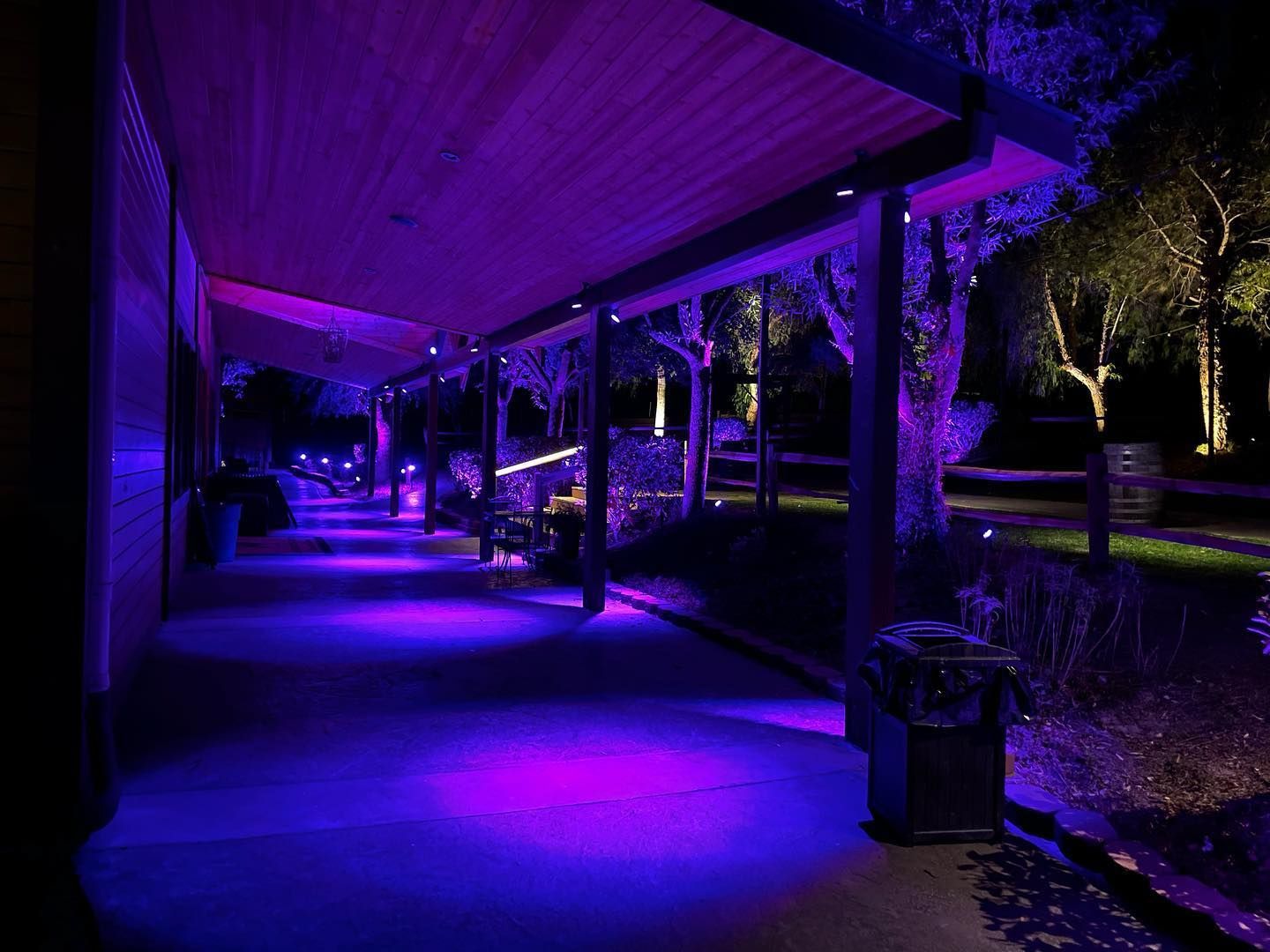 A pathway with purple and blue lighting at night. Trees and benches are along the path.