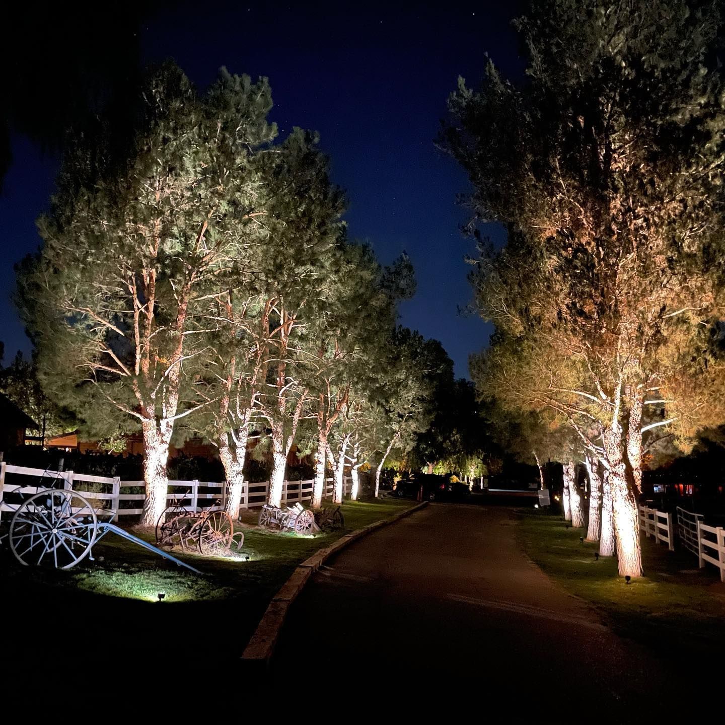 Trees illuminated at night line a driveway; an old wagon wheel is in the foreground.