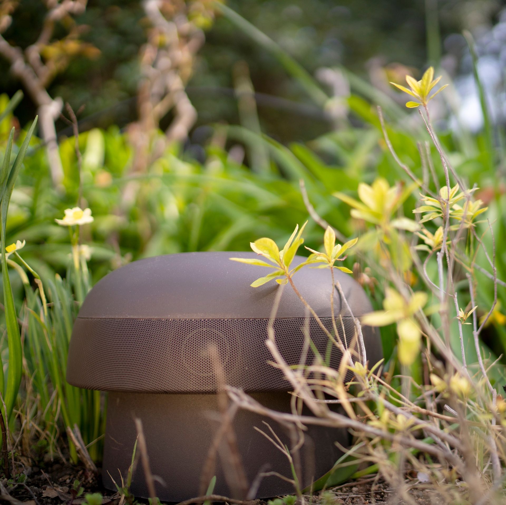 Brown outdoor speaker among green foliage and yellow flowers.