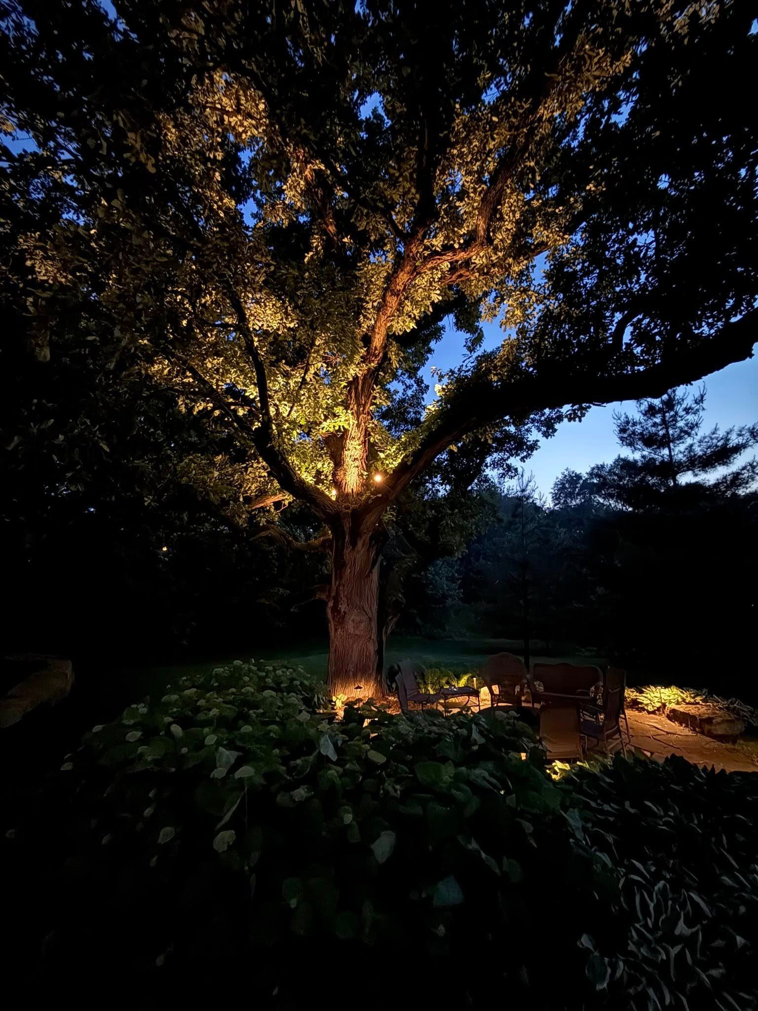 Earl Oudoor Lighting in Bennington Tree