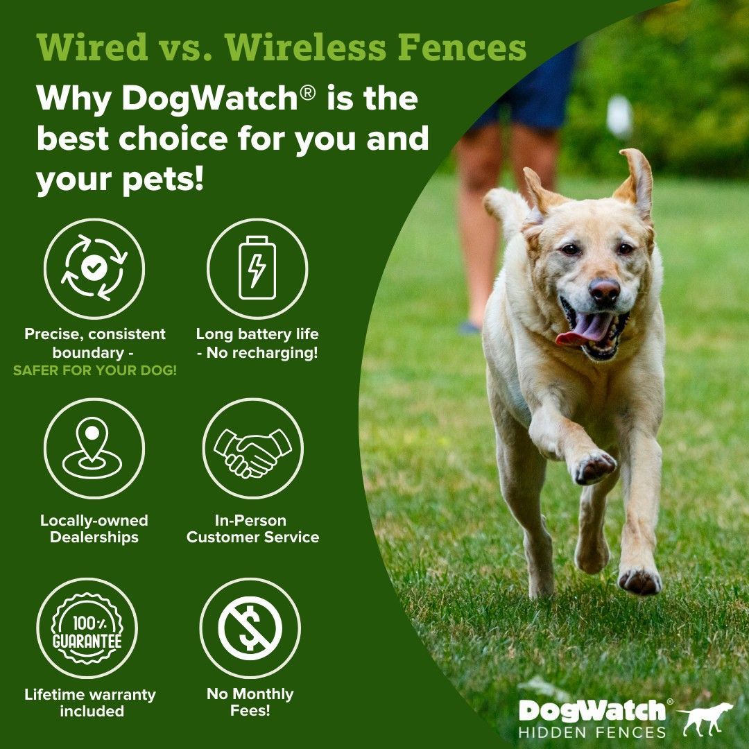DogWatch fence advertisement: yellow lab running on grass, green background with text and icons.