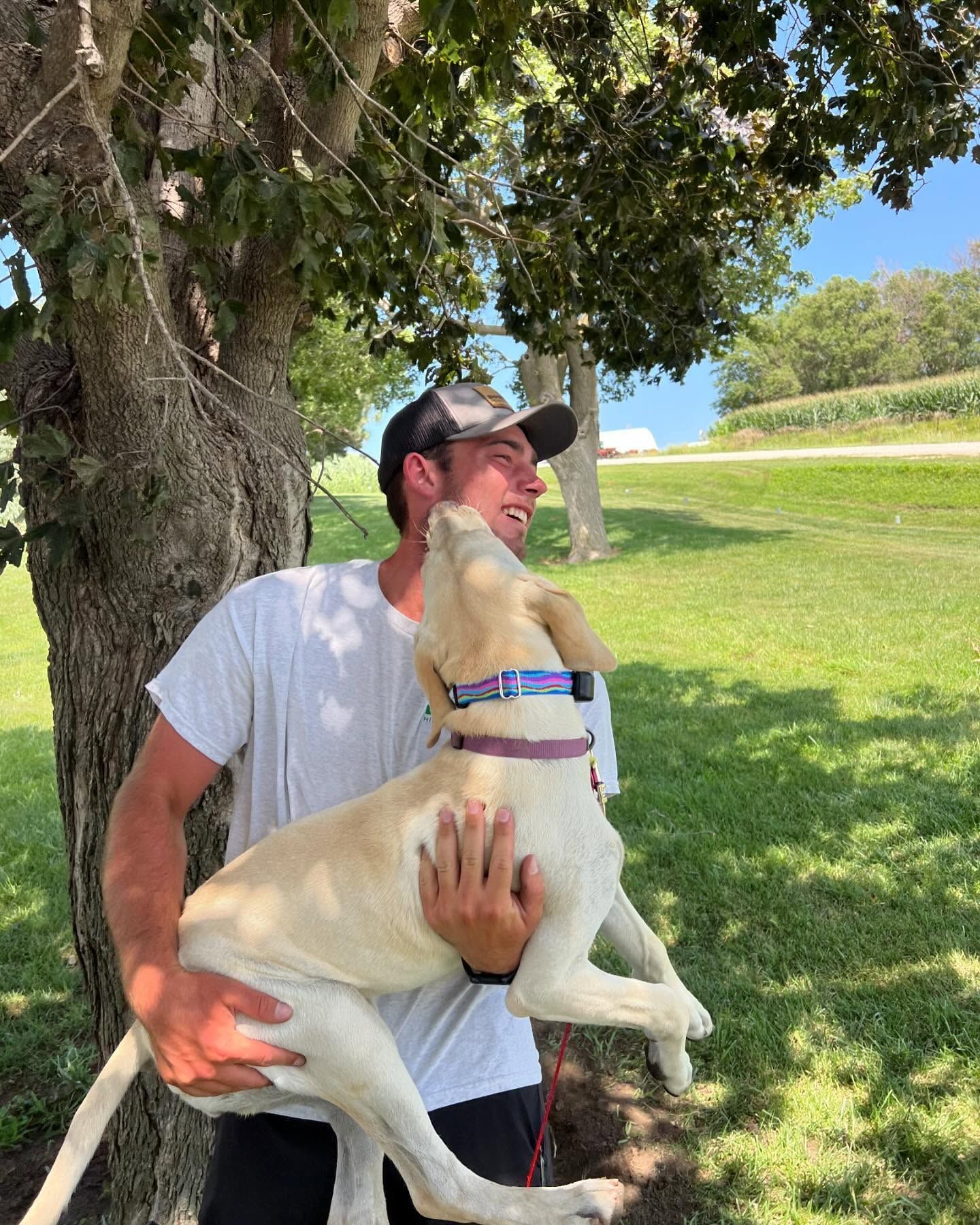 Man holding a light-colored dog, both looking up, under a tree on a sunny day.
