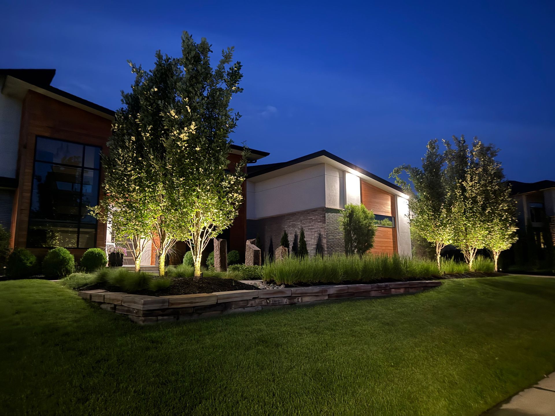 Night view of illuminated trees in front of a modern building with a manicured lawn.