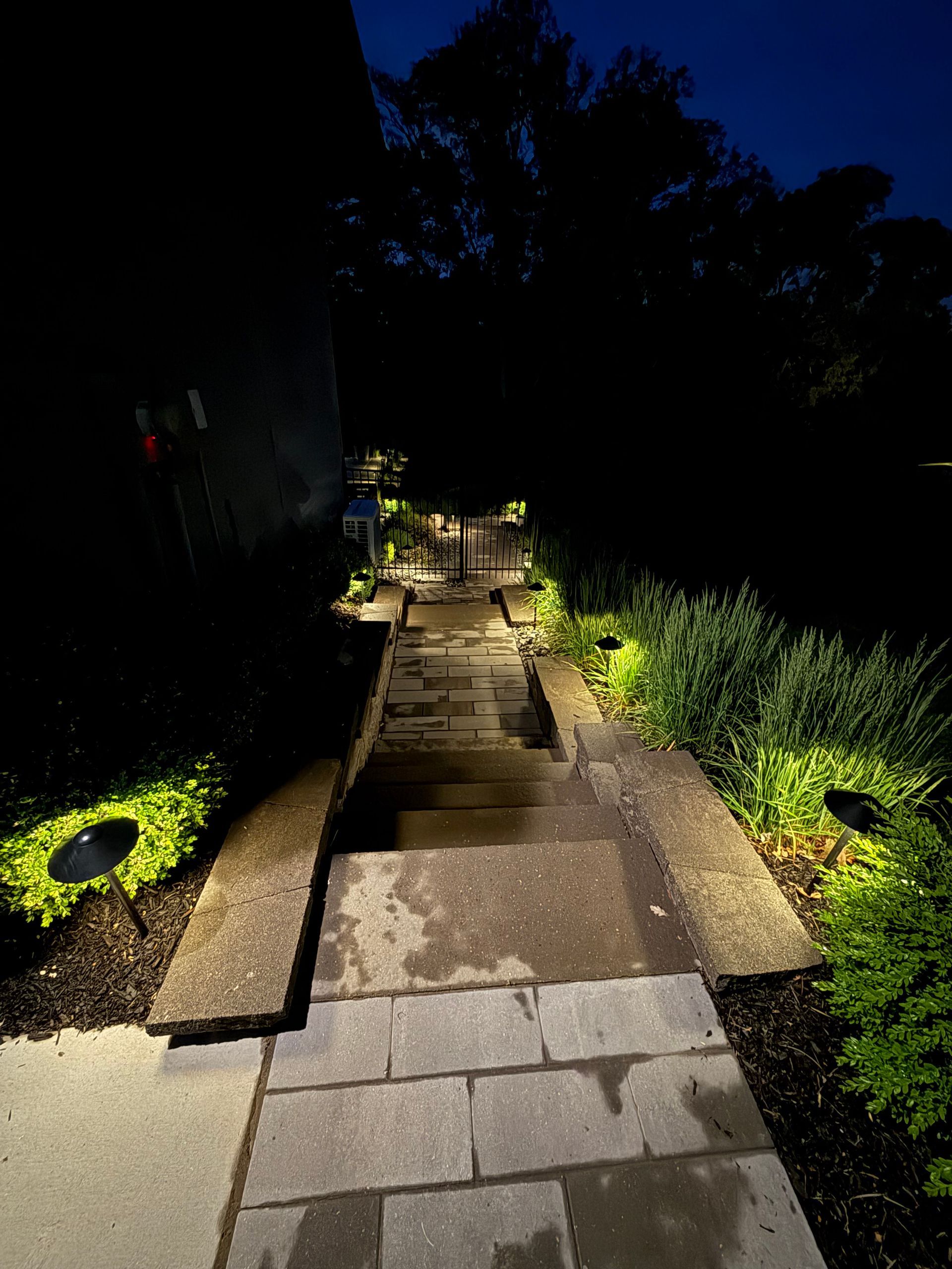 Stone pathway and steps illuminated by ground lights at night, surrounded by dark foliage.