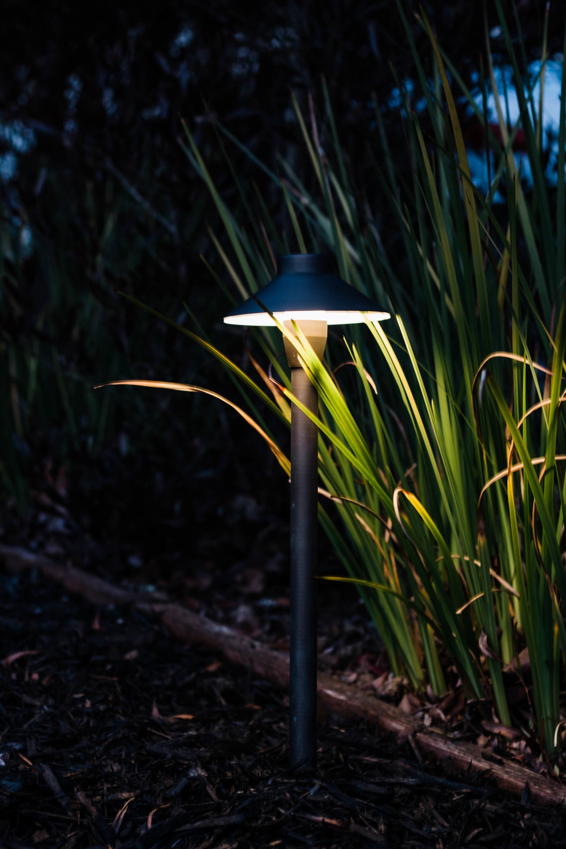 A dark-colored path light illuminates tall grass at night. The light's shade casts a warm glow.