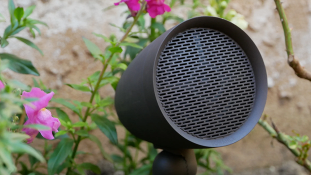 Dark brown outdoor spotlight in front of pink flowers and a textured stone wall.