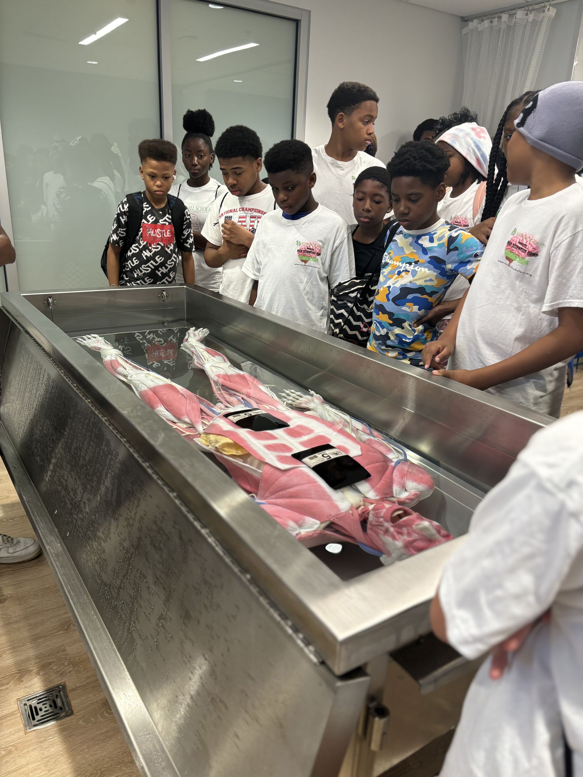 students have watched human skeleton 