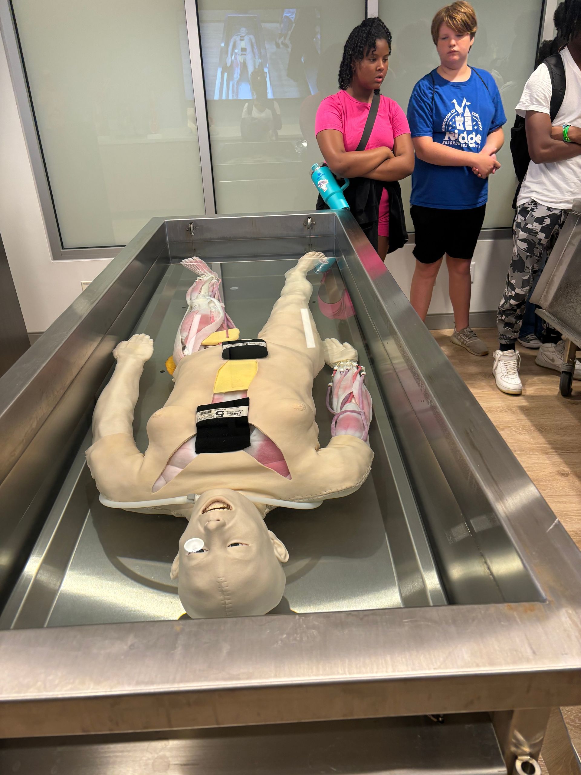 students have watched human skeleton 