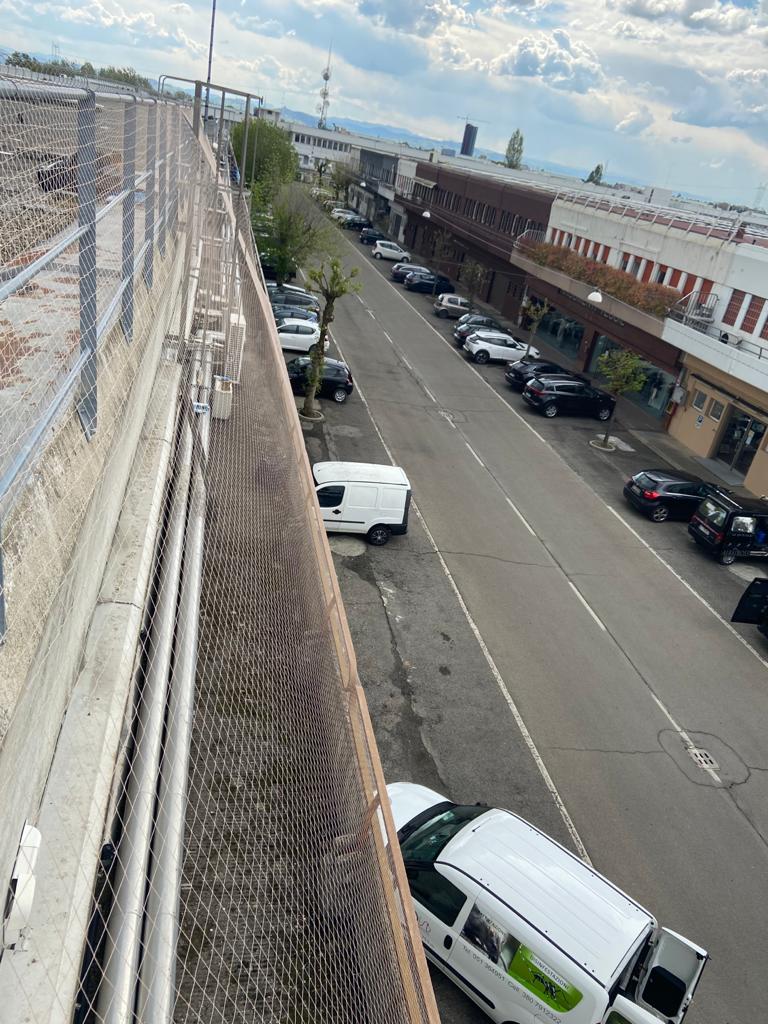 allontanamento volatili