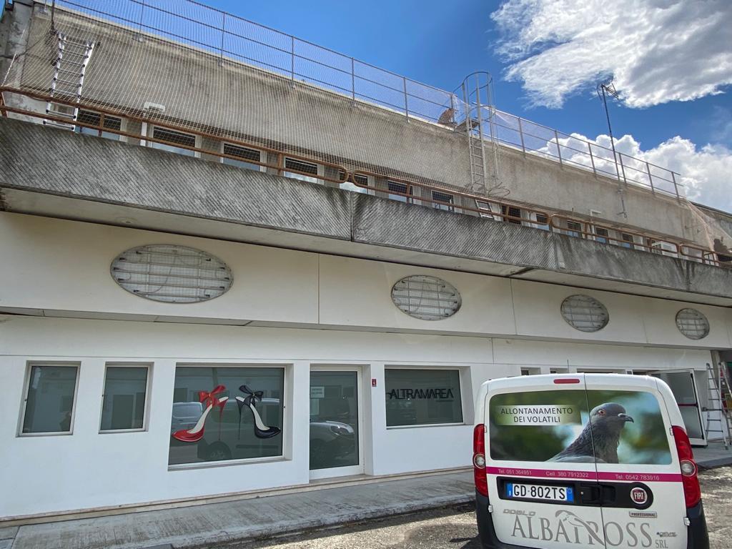 allontanamento volatili