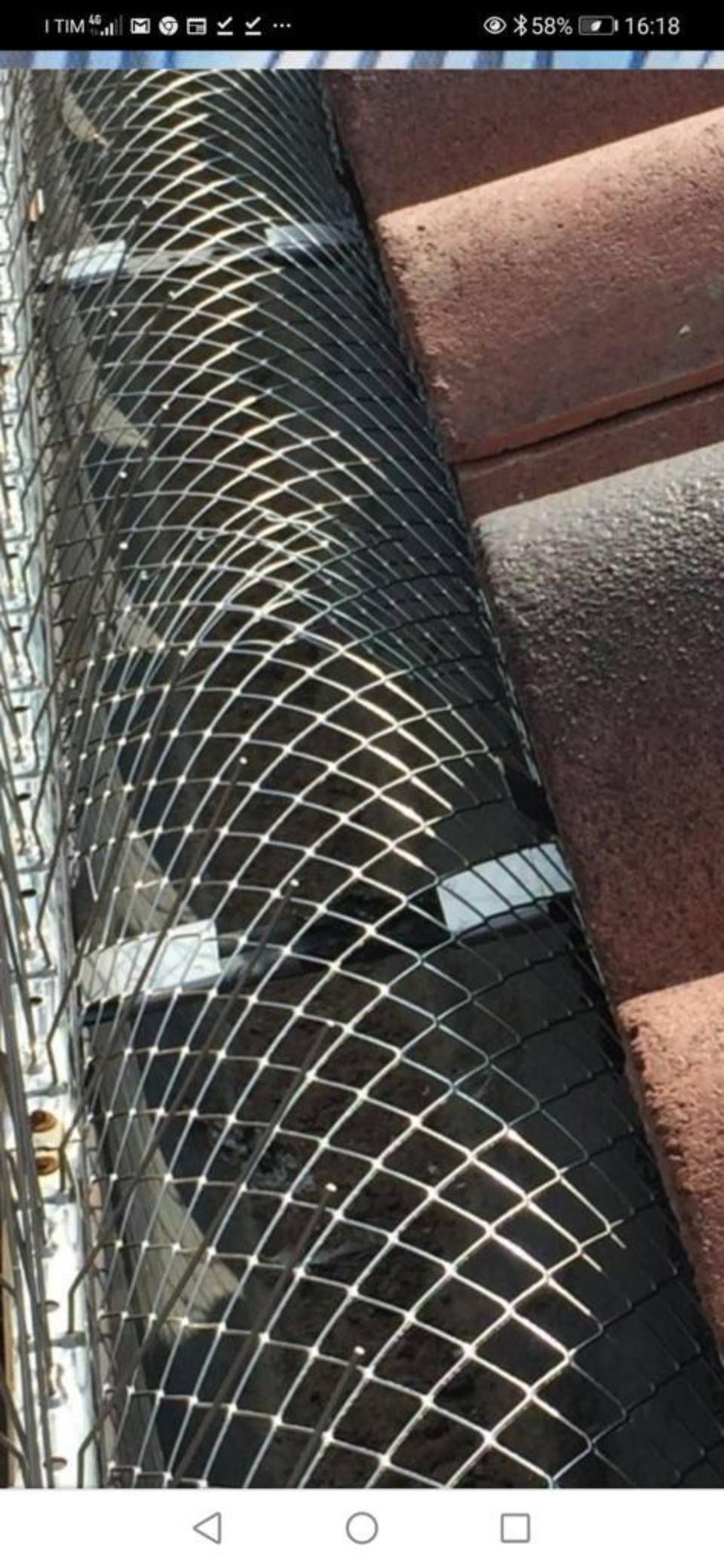 barriera anti-piccioni