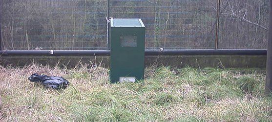 La trappola per topi Ekomille da esterno