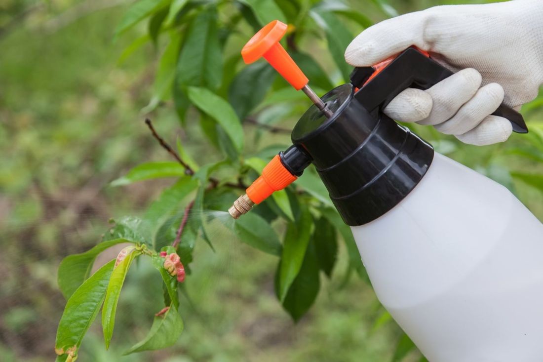 Manutenzione del verde con trattamenti di endoterapia