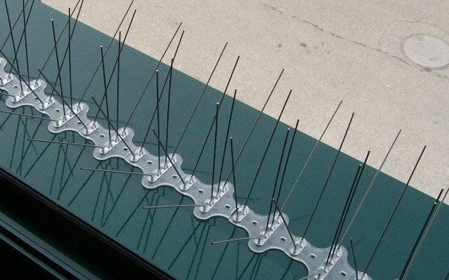 Installazione di dissuasori a spilli per volatili