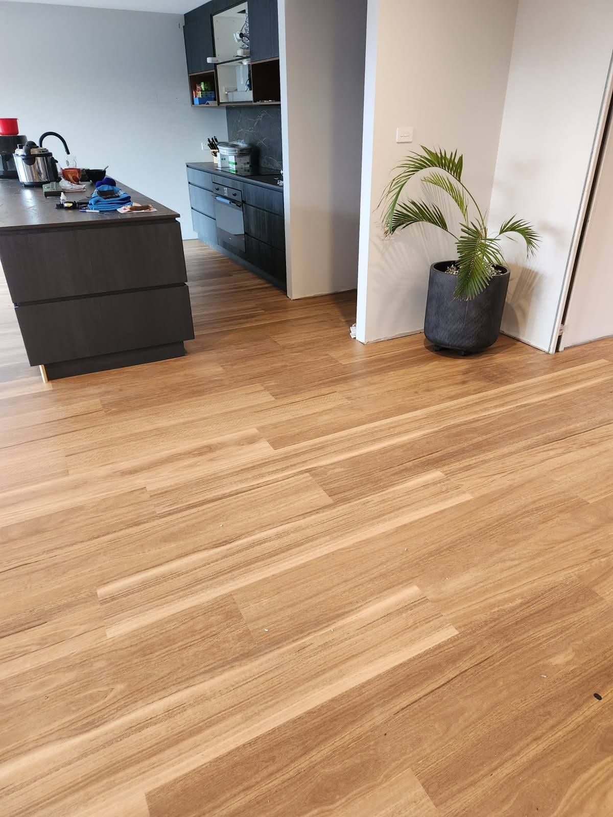 Wooden Floor with A Kitchen Island in The Background and A Potted Plant Near a Doorway — Canberra Floor Coverings in Queanbeyan West, NSW