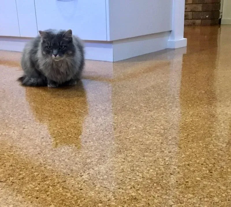 Empty Event Space With Wooden Dance Floor, Bar, Tables, Chairs, and Brown Walls — Canberra Floor Coverings in Queanbeyan West, NSW