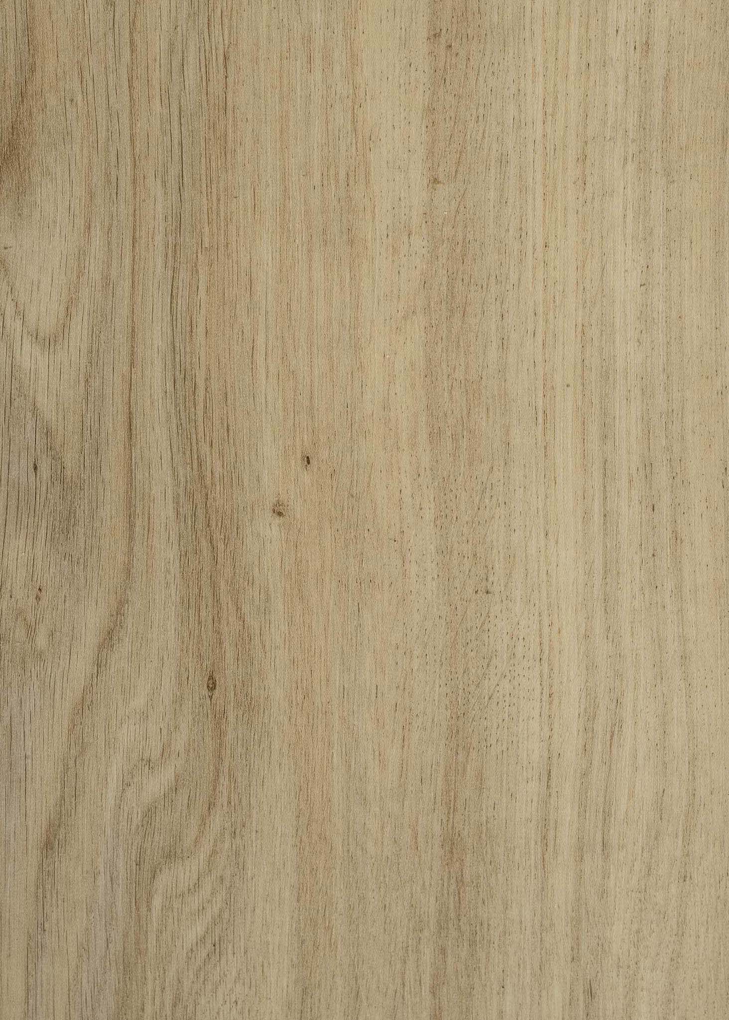 Earth Oak