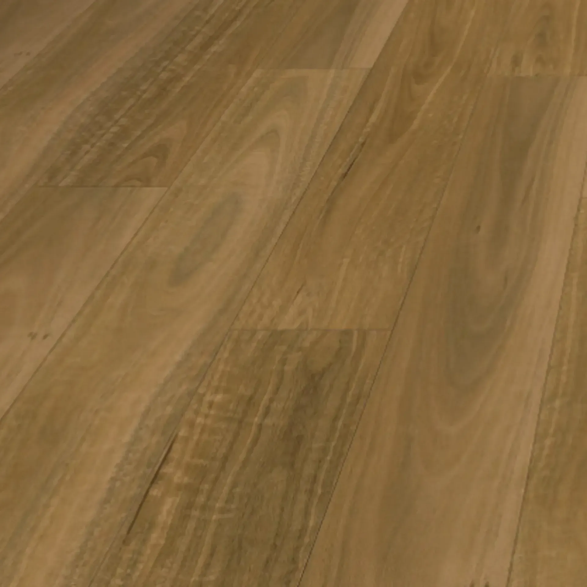 Classic Spotted Gum BV