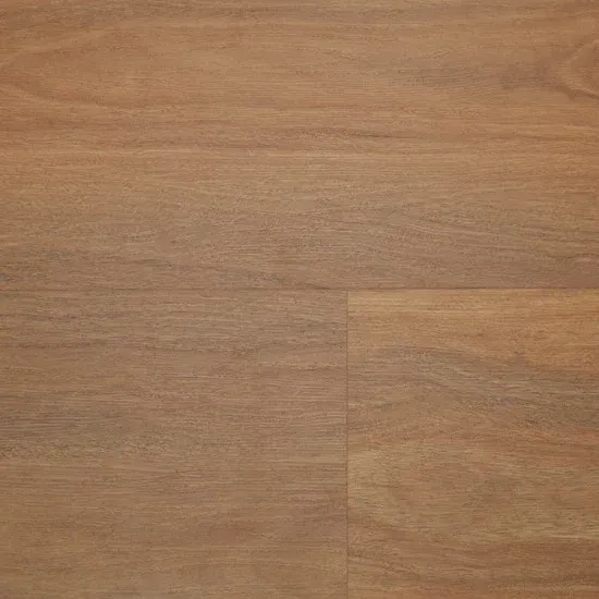 Northern Blue Gum FE